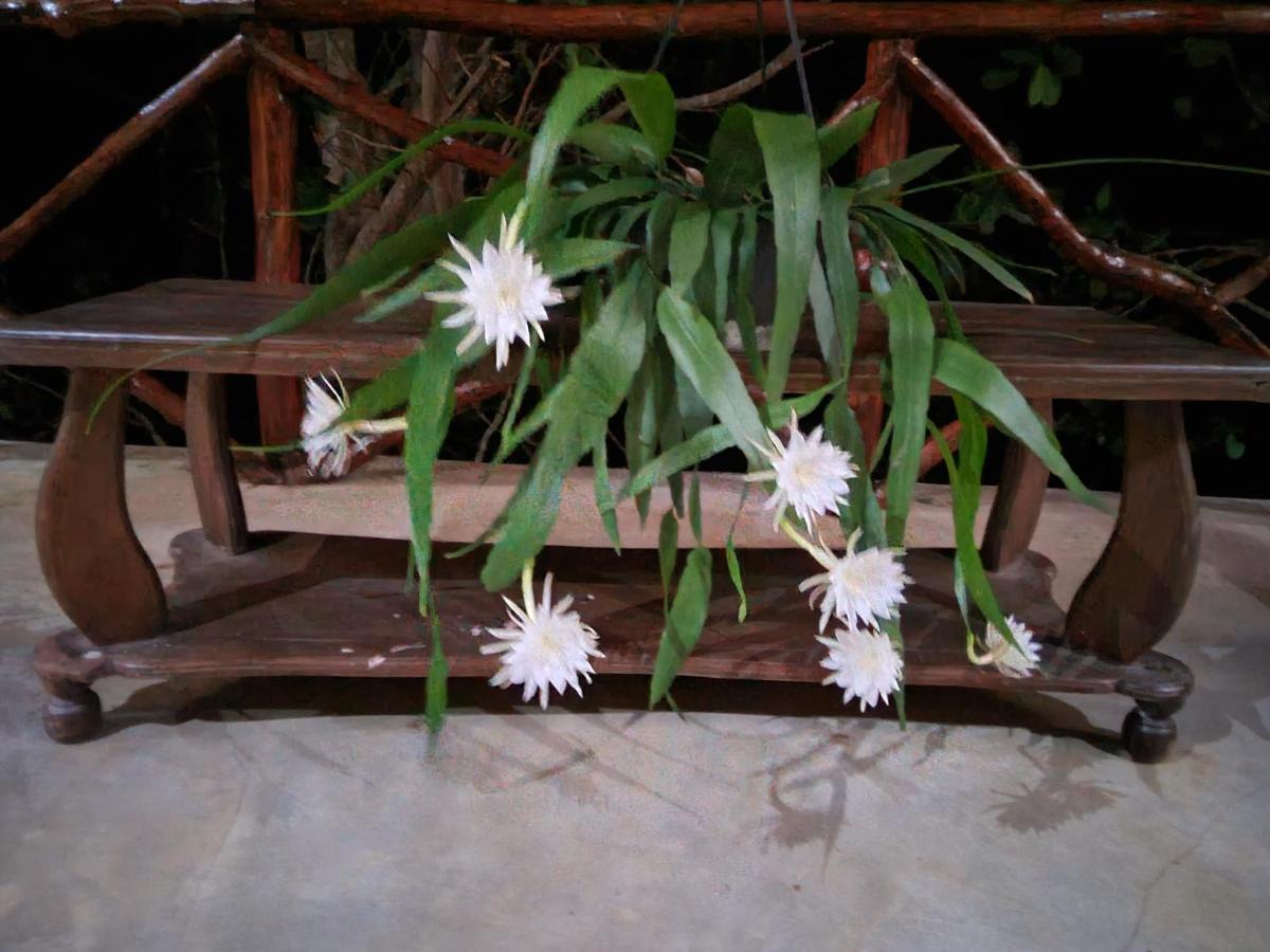 The Hideaway Kurunegala